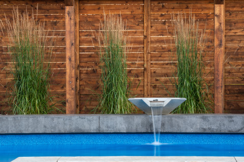 Fence, water feature and grasses